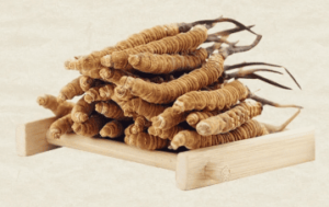 糖尿病可以吃冬蟲夏草嗎？