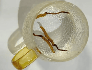 一根蟲草泡水喝能喝幾天?