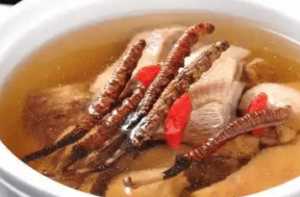 生病時可以吃蟲草嗎?