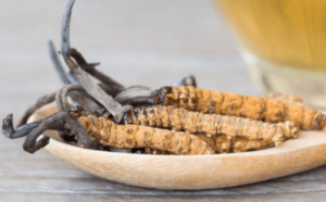 冬蟲夏草泡酒有什麼功效？