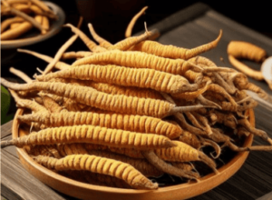 冬蟲草可以帶過關嗎？