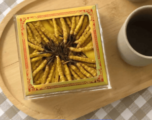 冬蟲夏草何時吃？