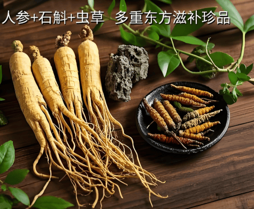 冬蟲夏草與人參能一起吃嗎