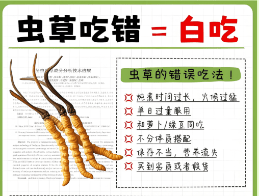 冬蟲夏草泡水、煲湯、入藥