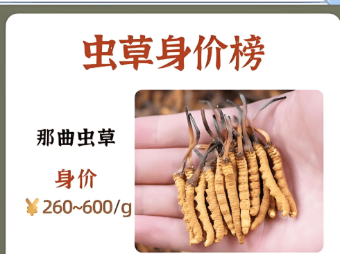 冬蟲夏草價格真相大揭密