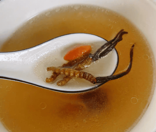 冬蟲夏草泡水、煲湯、入藥