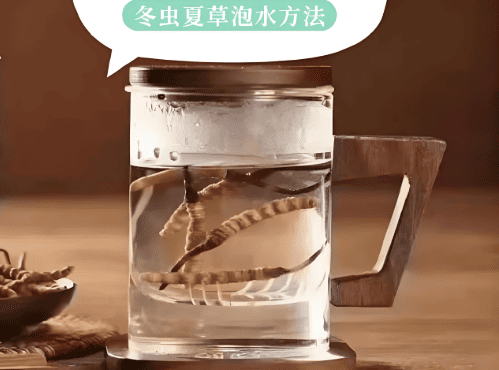 冬蟲夏草與補腎功效