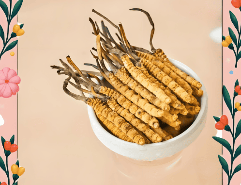 如何正確食用冬蟲夏草？