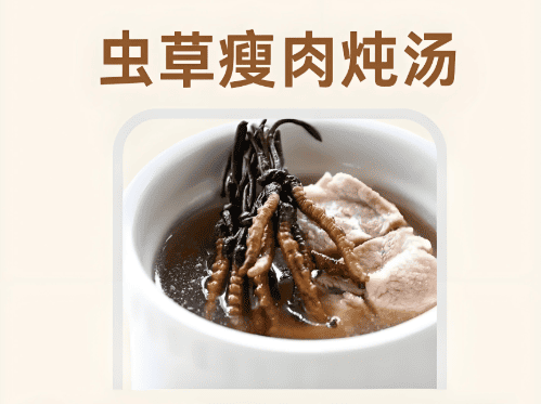 冬蟲夏草養生飲品製作