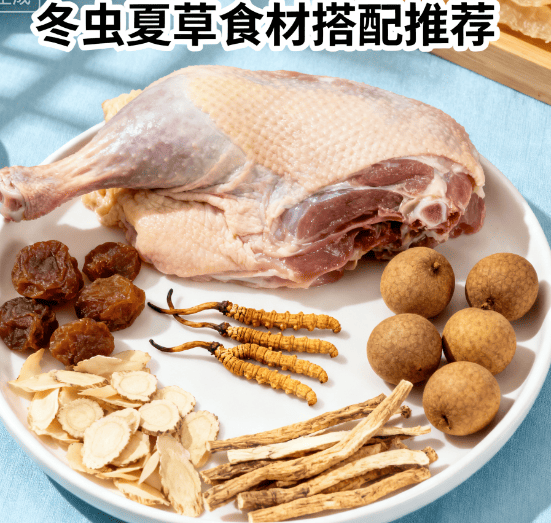 冬蟲夏草搭配食材推薦