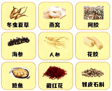 頂級冬蟲夏草功效解析