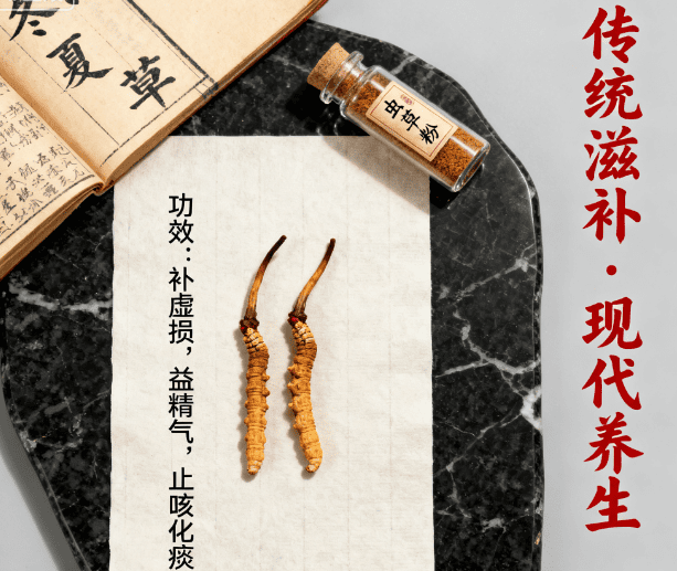 頂級冬蟲夏草功效