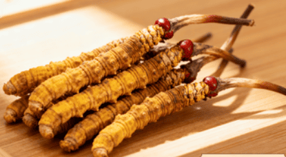 冬蟲夏草價格揭秘