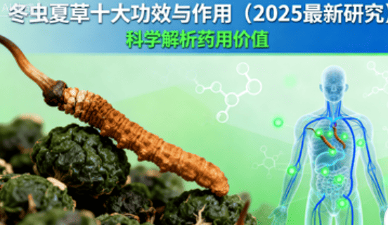 冬蟲夏草功效