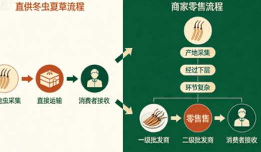 冬蟲夏草價格比較