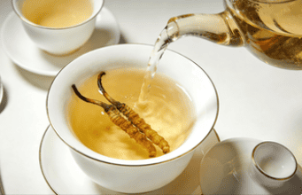 冬蟲夏草 怎麼煮