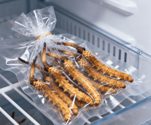 冬蟲夏草如何保存