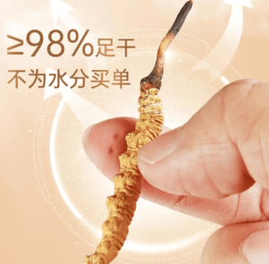 冬蟲夏草什麼時候吃最好？