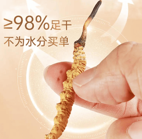 冬蟲夏草什麼時候吃最好？