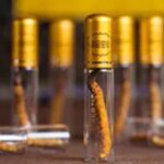 腎臟不好可以吃冬蟲夏草嗎？