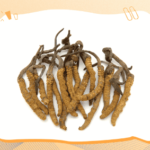 冬蟲夏草一人份的份量是多少？