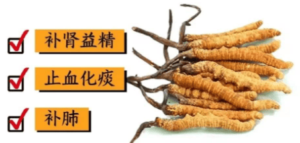 冬蟲夏草月經來可以吃嗎？