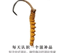 冬蟲夏草真的是蟲嗎?