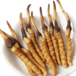 冬蟲夏草會上火嗎？