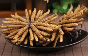 冬蟲夏草可以每天吃嗎？