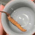 冬蟲夏草是中藥材嗎?