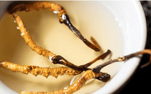 冬蟲夏草不能跟什麼一起吃？