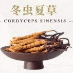 冬蟲夏草有什麼功效？