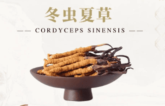冬蟲夏草有什麼功效？