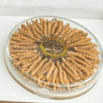 低海拔蟲草到底能吃嗎？