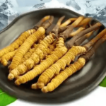 冬蟲夏草產地主要在哪？