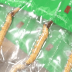 冬蟲夏草燉鴿子湯怎麼做？