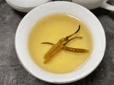 冬蟲夏草可以用100℃水泡嗎？