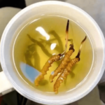 一根冬蟲夏草泡水喝能喝幾天？