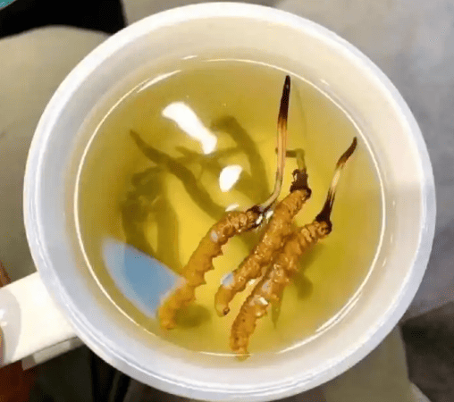 一根冬蟲夏草泡水喝能喝幾天？