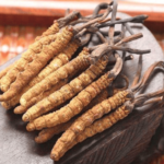 冬蟲夏草一斤多少錢？