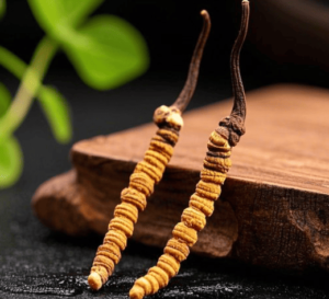 冬蟲夏草如何保存？