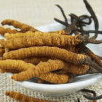 冬蟲夏草孕婦可以吃嗎？