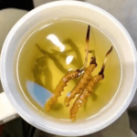 冬蟲夏草泡水加開水還是溫水？