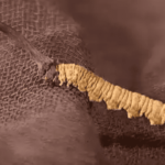 冬蟲夏草會活血嗎？