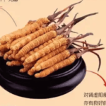 冬蟲夏草有營養嗎？