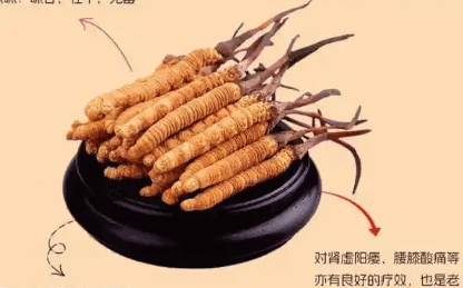 冬蟲夏草有營養嗎？