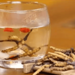 冬蟲夏草哪有？