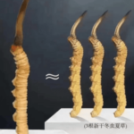 女人吃冬蟲夏草的好處與作用？