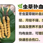 冬蟲夏草對身體有什麼好處？