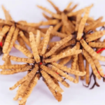 蟲草怎麼吃效果最好？